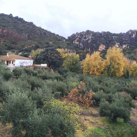 Villa La Quinta ปรีเอโก เด กอร์โดบา ภายนอก รูปภาพ